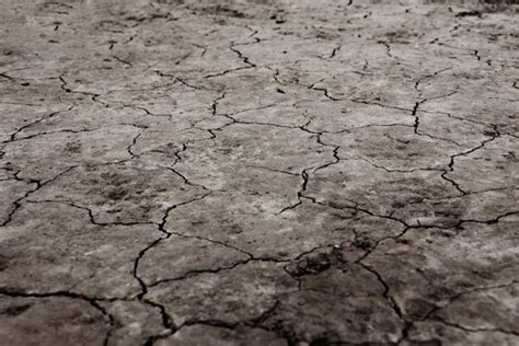 Cracked Earth Free Stock Photo Public Domain Pictures