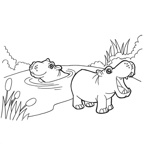 Hippo Drawing For Kids At Explore Collection Of