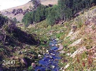 Freshwater environments provide an abundant range of habitats types of riparian habitat within a riparian zone, habitat health is often discussed in terms of five. Riparian zone - Wikipedia