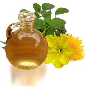 Evening primrose oil atau epo sangat baik untuk perempuan karena membantu memberikan dalam mengurangi gejala sindrom pramenstruasi, dan bahkan wanita menopause bisa mendapatkan keuntungan dari mengambilnya.ada sejumlah. 14 Manfaat Evening Primrose Oil - Kulit dan Kanker - HaloSehat