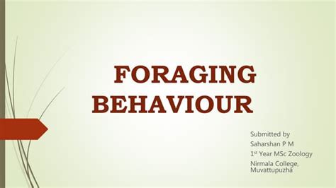 Foraging Behaviour Ppt