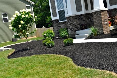 10 Black Mulch Garden Ideas