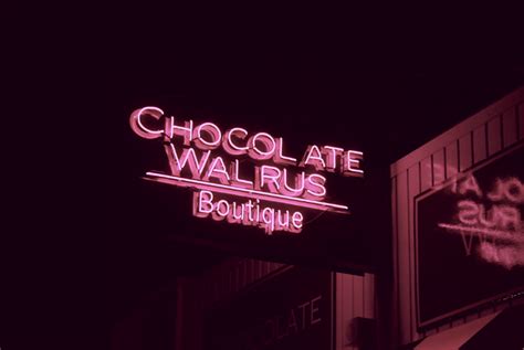 About Us The Chocolate Walrus