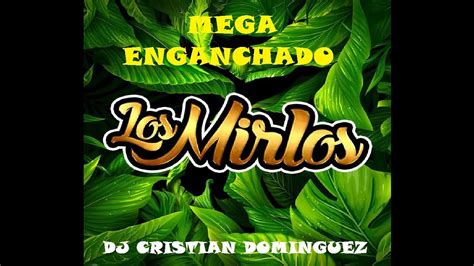 Mega De Los Mirlos Dj Cristian Dominguez Youtube