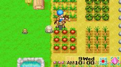 Friends of mineral town rom using your favorite gba emulator on your computer or phone. Harvest Moon: Friends of Mineral Town - Wikipedia