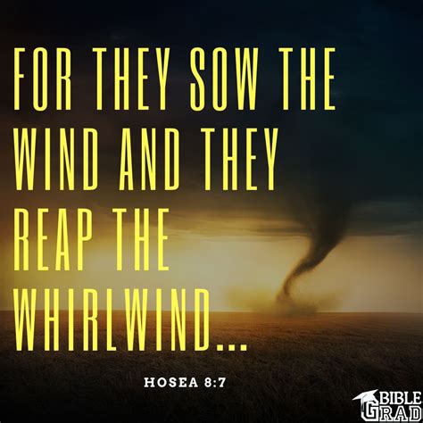 Reap The Whirlwind