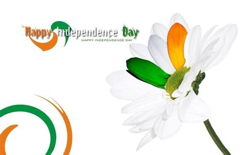 Happy independence day hd wallpapers | Independence day wallpaper, Independence day quotes ...