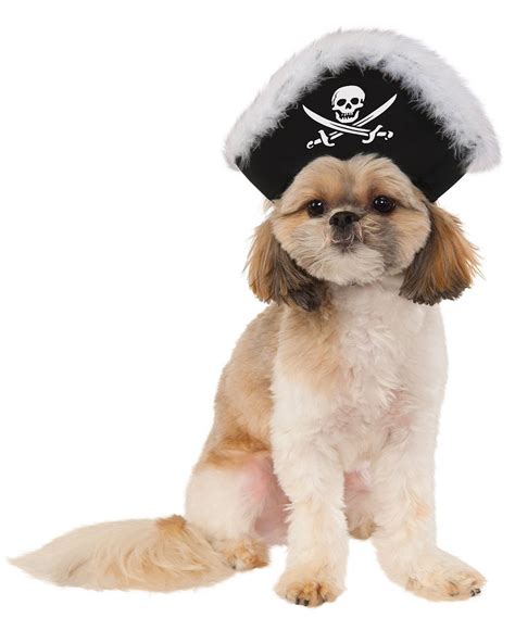 Black Pirate Hat For Pet Dog Pet Costumes Pets Dog Pirate Costume