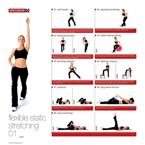 How To Stretch Dynamic V Static Static Stretching Workout Posters