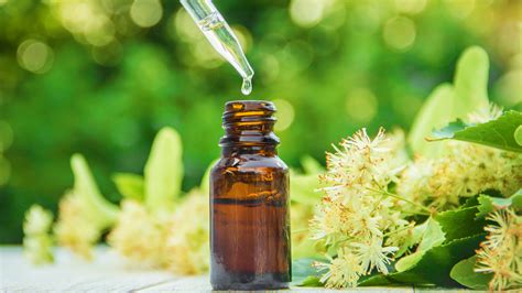 Homeopatia Que Es
