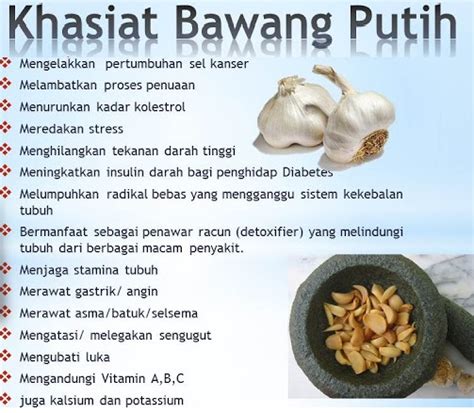 1 / 4 cangkir yogurt. Artikel Kesehatan: Manfaat Bawang Putih Untuk Kesehatan