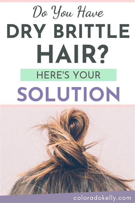 Dry brittle hair home remedies: Dry, Brittle Hair? #haircare #haircareproducts # ...