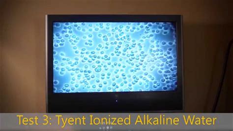 Tyent Alkaline Ionized Water Effects On Blood Short Youtube