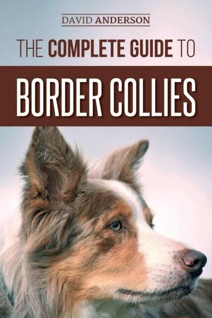 The Complete Guide To Border Collies Training Teaching Feeding