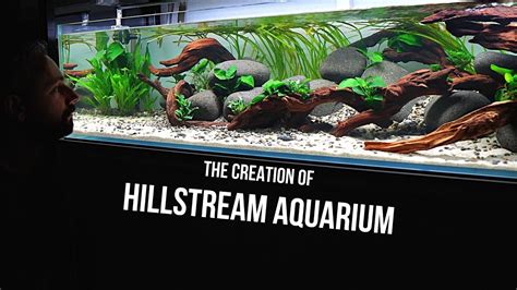 Hillstream Aquarium Step By Step Aquascape Nature Style River