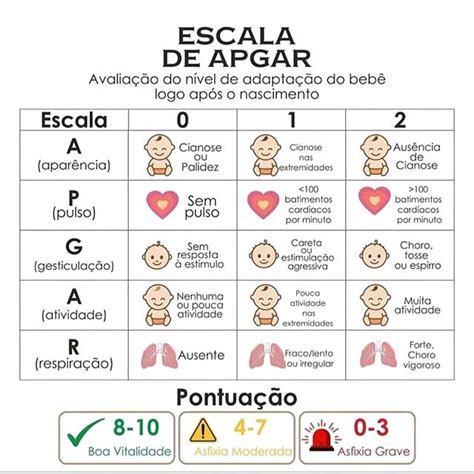 Escala De Apgar Escala De Apgar Enfermagem Neonatal Material De