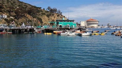 Things To Do On A Day Trip To Catalina