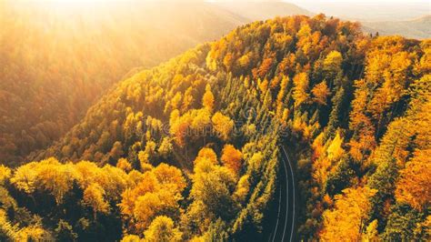 Aerial View Of A Windy Road Motorway Through Forest In Autumn Amazing