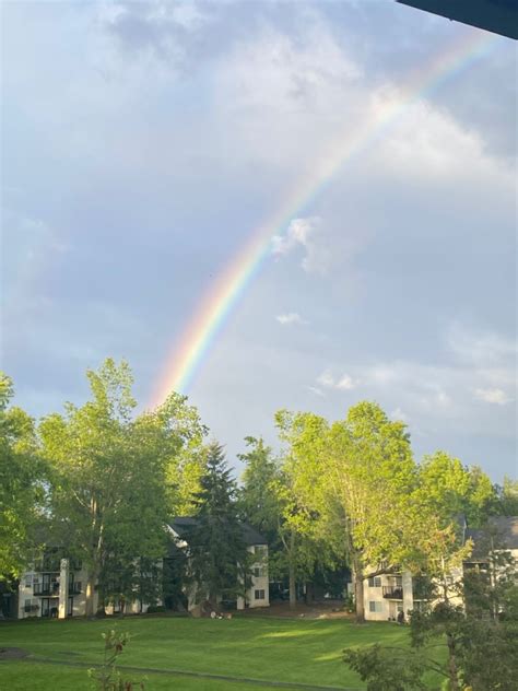 Aesthetics Rainbow Rain Bow Rainbows