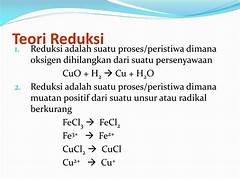 Zat Yang Mengalami Oksidasi Disebut