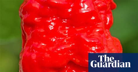 Scoville Scale The Hottest Chillies In The World In Pictures Life