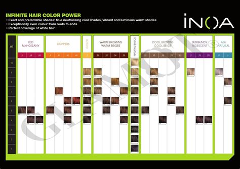 Loreal Professional Inoa Color Chart