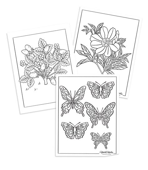 Click here to add text. free printable Archives - Natalie Malan