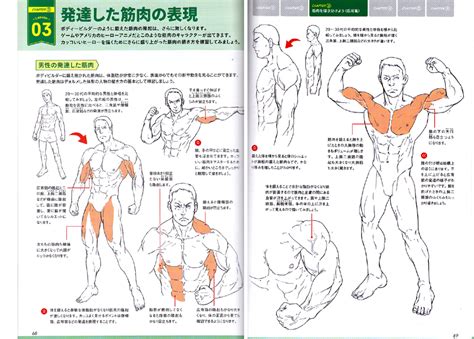 Model citizen magazine issue 23 front cover: How to Draw Muscles From Structure To Movement Reference Book - Anime Books