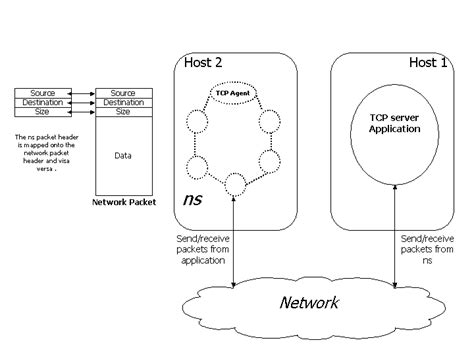 Network Emulation With The Ns Simulator