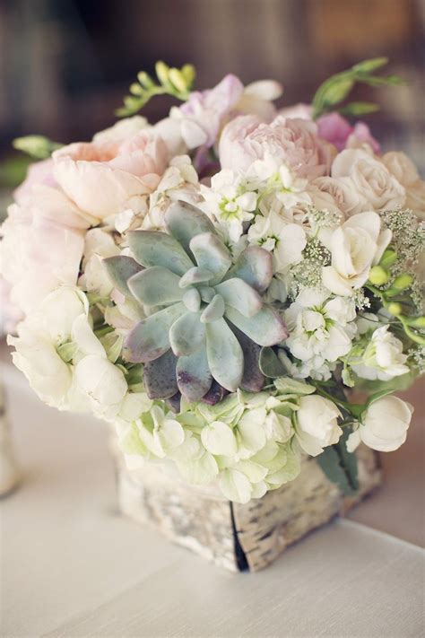 17 Best Images About Succulent Wedding Ideas On Pinterest