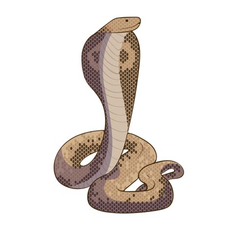 Cobra Snake Png Picture Png All