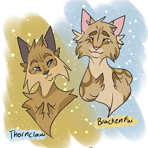 Brackenfur And Thornclaw By Randomcupcake113 On Deviantart