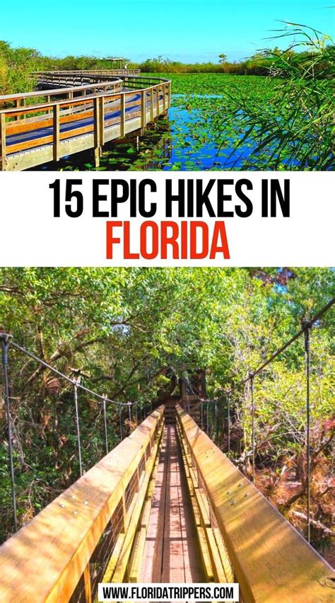 15 Epic Hikes In Florida Hiking In Florida Florida Vacation Spots