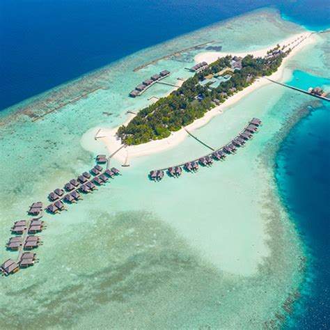 veligandu island resort maldives overwater bungalows