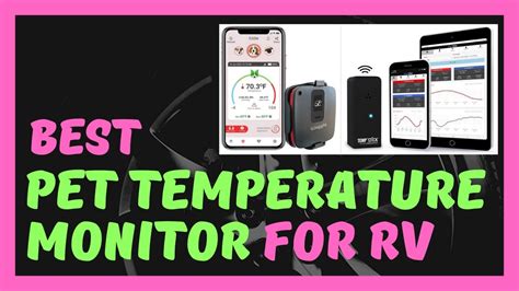 Best Pet Temperature Monitor For Rv In 2021 Pet Safety Youtube