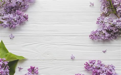 Download Wallpapers Lilac Light Wooden Background Spring Flowers