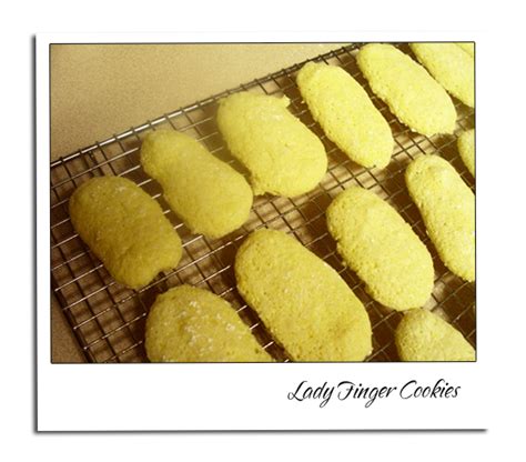 Ingredients used in lady fingers cookies. Lady Finger Cookies | Recipe | Finger cookies, Lady fingers, Cookies