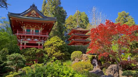 Japanese tea garden over 90 years of history in 1899, the san antonio water works company, through its president, george w. Japanese Tea Garden in San Francisco, California | Expedia