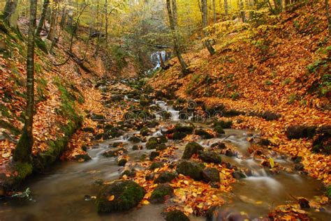 Forest Stream In Turkey Stock Image Image Of Outdoor 3700897