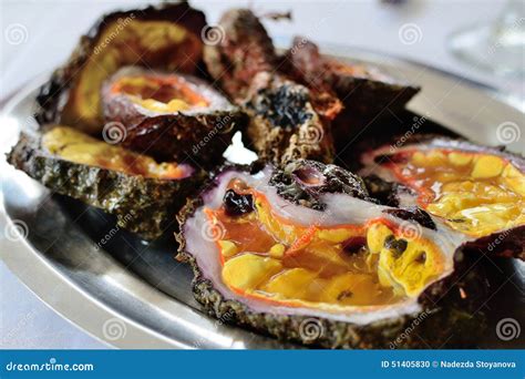 Fresh Shellfish From The Greek Seas Stock Photo Image Of Fish Greek
