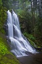 Kentucky Falls - Oregon Coast Visitors Association