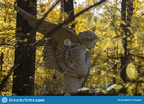 Cemetery Gothic Angel Sculpture In Autumn Forest Park Stock Image