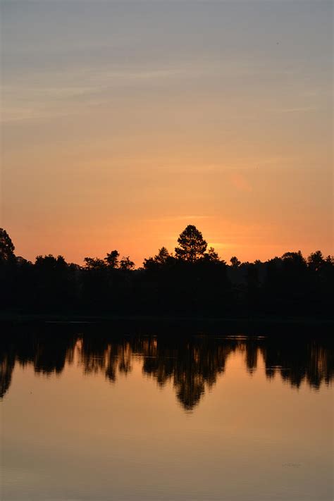 The New Dawn Over Alligator Lake Florida Photograph By Rd Erickson