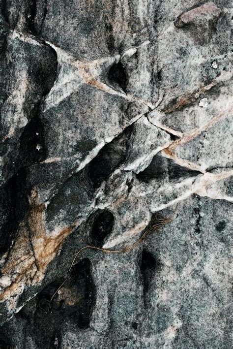 Stone Fossil Relief Hd Phone Wallpaper Peakpx