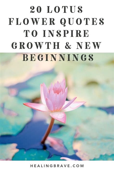 We did not find results for: 20 Lotus Flower Quotes to Inspire Growth & New Beginnings ...