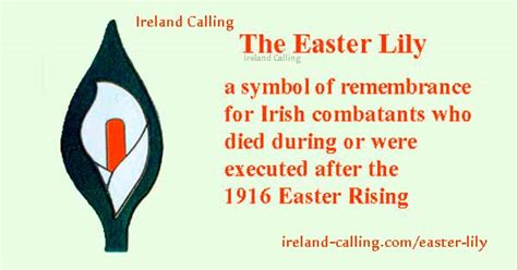 Easter Lily Irish Symbol Of Peace