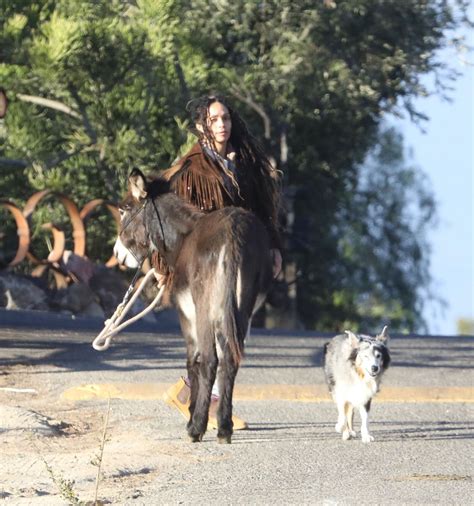 Lisa Bonet Out With A Donkey And A Dog 11062017 Hawtcelebs