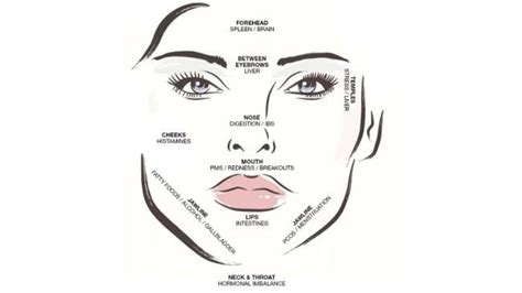 Face Mapping Traditional Chinese Medicine Technique Will Help Your