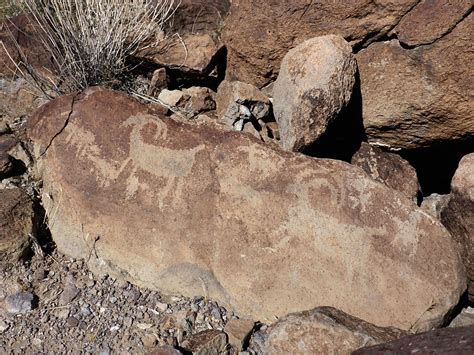 Bighorn Sheep Petroglyphs Petroglyph Canyon Sloan Canyon National