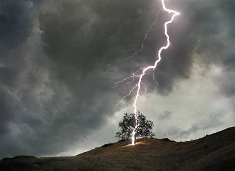 Lightning Strikes A Tree Wallpapers High Quality Download Free
